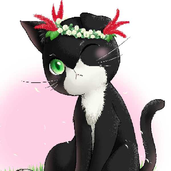 NPO法人キャットセイビア