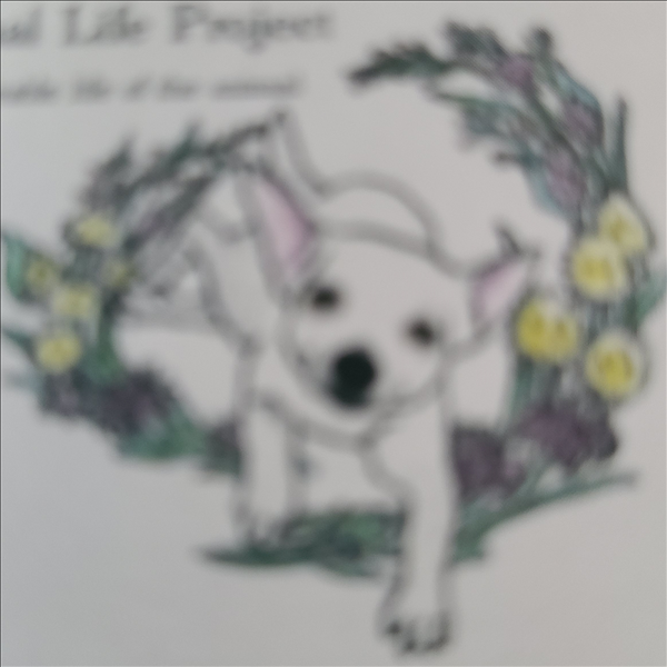 一般社団法人 アニマルライフプロジェクト