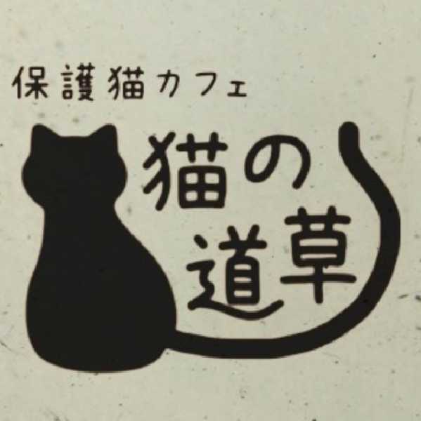 保護猫カフェ猫の道草