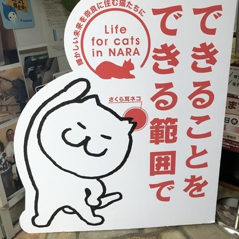 特定非営利活動法人Life for cats in NARA