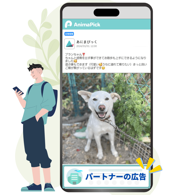 保護犬猫支援につながるアプリ内広告の掲載イメージ